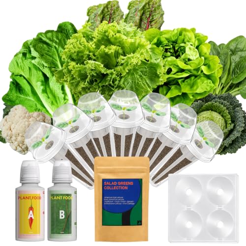 LYKOCLEAN Salad Seed Pods Kit for AeroGarden, Ahopegarden - Includes American Fast Lettuce, Paris Island cos Lettuce, Buttercrunch, Spinach, Swiss Chard, Cabbage, Cauliflower, 7 pods, 350+ Seeds