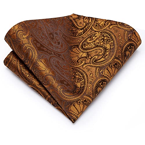 Image of Dubulle Mens Paisley Floral Silk Tie for Men Striped Necktie and Pocket Square Cufflinks Set Wedding Business