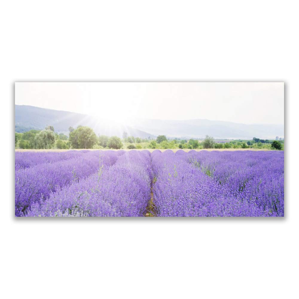 Tableau Décoration Verre Trempé 120x60cm Tulup en Finition Haute Brillance Design