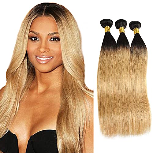 WunnSvm 12 14 16 Inch Ombre Straight Bundles Human Hair Ombre Brazilian Hair Weave Bundles 1b/27 Honey Blonde Straight Human Virgin Hair Extensions Bundles Double WeftInch