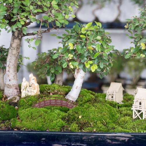 Miniatur Brücke Ornament Vintage Stil Chinesisches Architektur Modell Für Garten Deko Bonsai Zubehör Und Terrarium Hochwertige Miniaturfigur Für Indoor Und Outdoor Dekoration