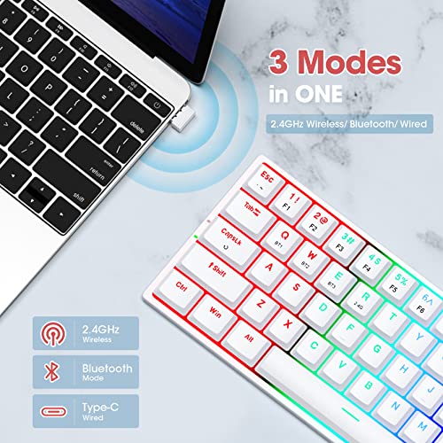 60% Wireless Mechanical Keyboard, Triple Mode 2.4G/Type-C/Bluetooth Mechanical Keyboard, Low Profile, Rainbow Backlit, Blue Switch, 63 Keys Portable Mini Wireless Gaming Keyboard For Pc/Mac, White #TOP1