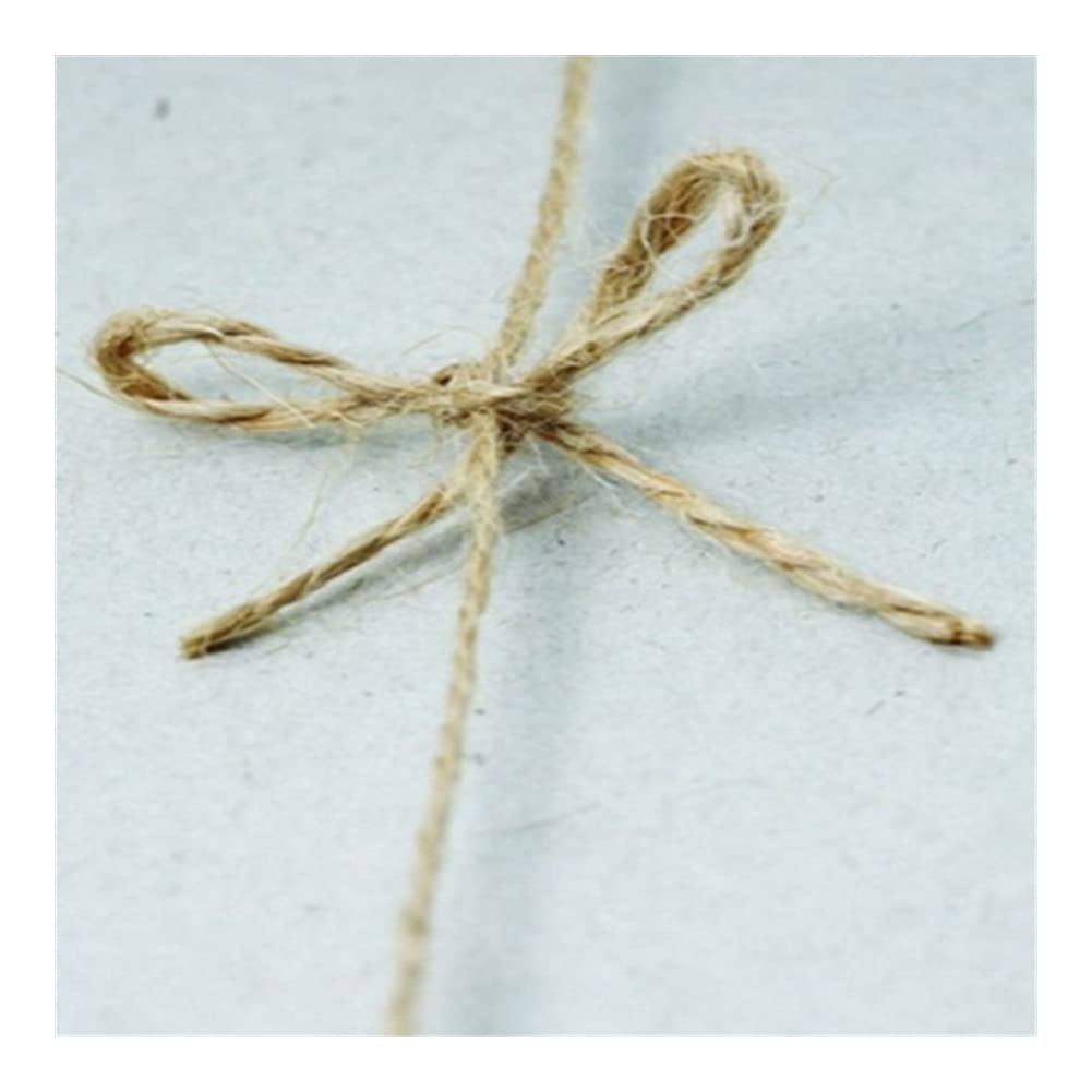 Spago naturale di iuta, 100M Sisal Naturale 2mm Rustico