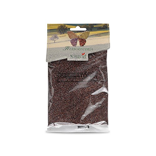 NATURCID Zaragatona 100g