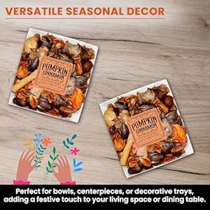 Pumpkin Cinnamon Fall Potpourri Bag - Autumn Scented Blend with Natural Elements, Ideal for Home Decoration and Fragrance - Perfect for Thanksgiving Harvest as Bowl, Vase, and Sachet Fillers Pumpkin Cinnamon Fall Potpourri Bag Autumn Scented Blend with Natural Elements Ideal for Home Decoration and Fragrance Perfect for Thanksgiving Harvest as Bowl Vase and Sachet Fillers