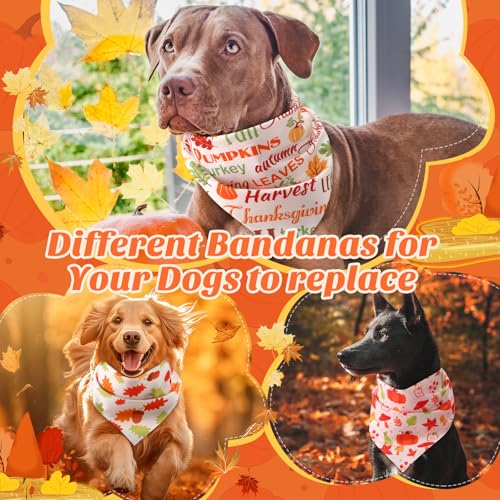 Image of Abbylike 50 Pcs Fall Dog Bandanas Bulk, Autumn Harvest Pumpkin Pattern
