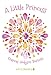 A Little Princess (Xist Classics)