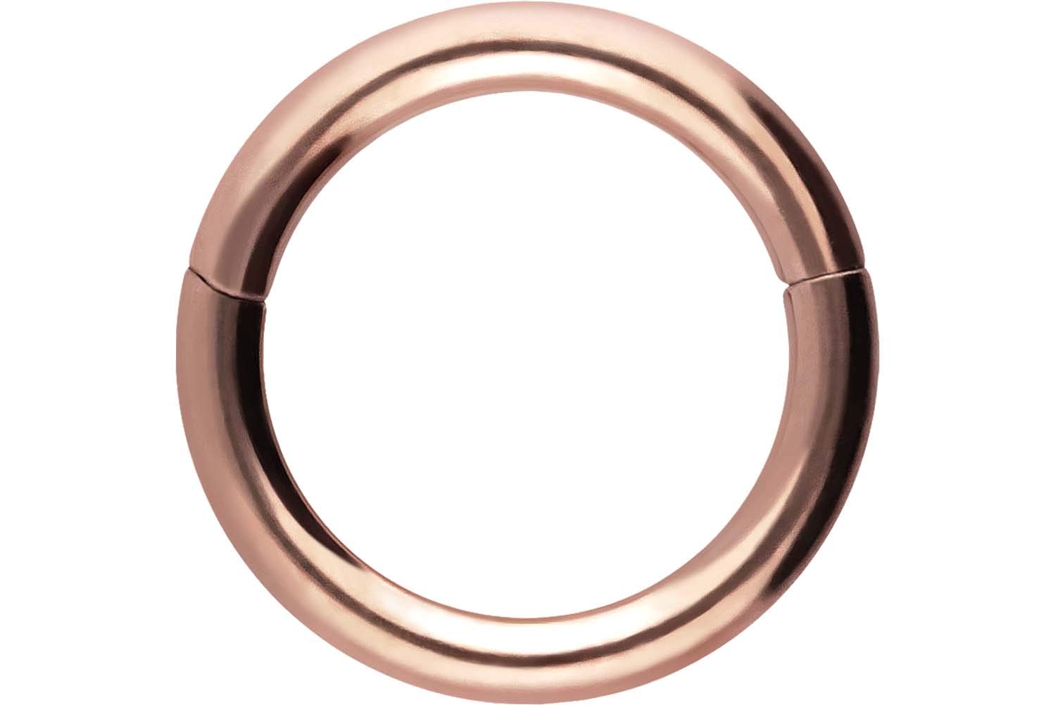 PIERCINGLINE Anillo segmento Clicker de acero quirúrgico – Piercing en oro, plata, rosa, negro o azul – para nariz, tabique, oreja, hélice o tragus — view 63