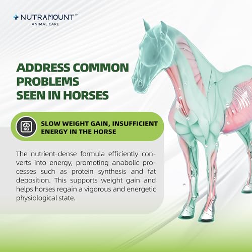 Horse Ground Flaxseed Feed, Natural High-Fat Flaxseed Meal for Horses, Coat Shine & Daily Feed Mix, Easy-to-Digest Horse Feed Ingredient – 1400g - Image 4