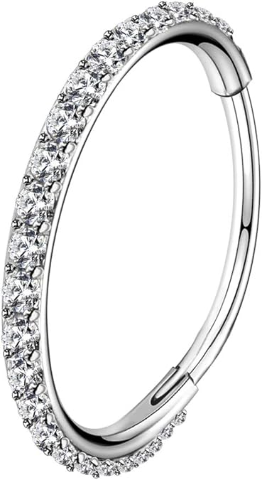 OUFER Nose Rings Surgical Steel Cartilage Earrings Tragus 316L Stainless Steel Helix Earrings Cartilage Earring 14G/16G/18G/20G Hinged Segment Rings Hoop