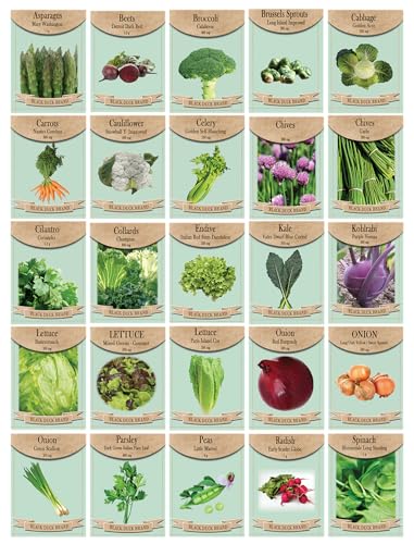 Set of 25 Autumn Garden Seed Set – Premium Cool-Season Vegetables & Herbs - Non GMO & Heirloom - Autumn Planting Seeds