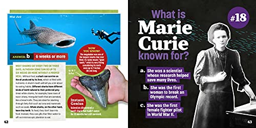 Totally Random Questions Volume 2: 101 Odd and Awesome Q&As - Image 7