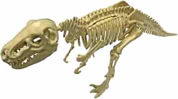 【期間限定値下げ中】プラモデル】ティラノサウルス骨格モデル 約35cm プラモデル】ティラノサウルス骨格モデル 約35cm - メルカリ