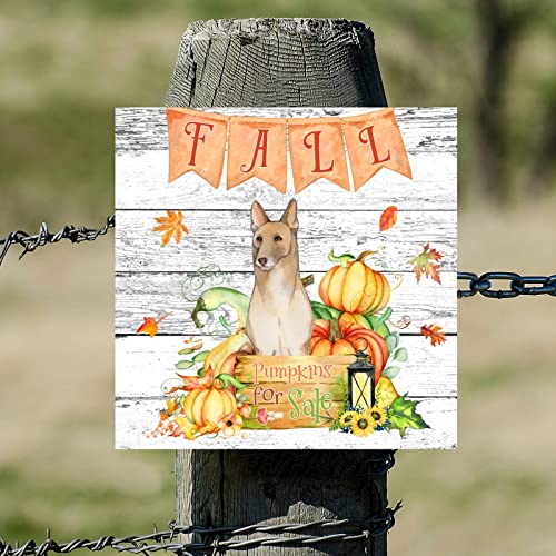 Plaque murale en bois Fall Pumpkins 30x30 cm décor rustique pour bureau