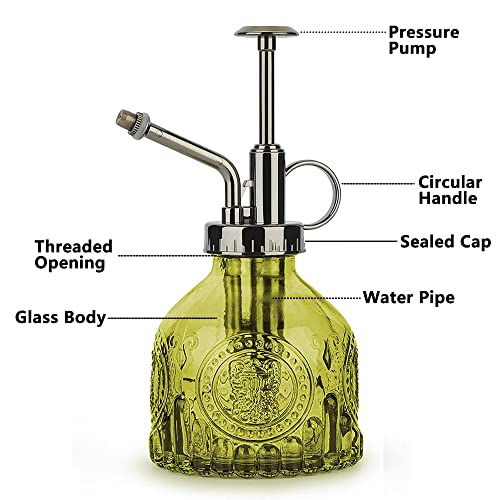 KoGiio Spuitfles voor planten, glas, 200 ml, retro reliëf, plantensproeier met pomp, geavanceerde bloemenverstuiver, drukspuit voor balkon, kleine tuinplanten, binnen, huis of kantoor, groen - Afbeelding 3