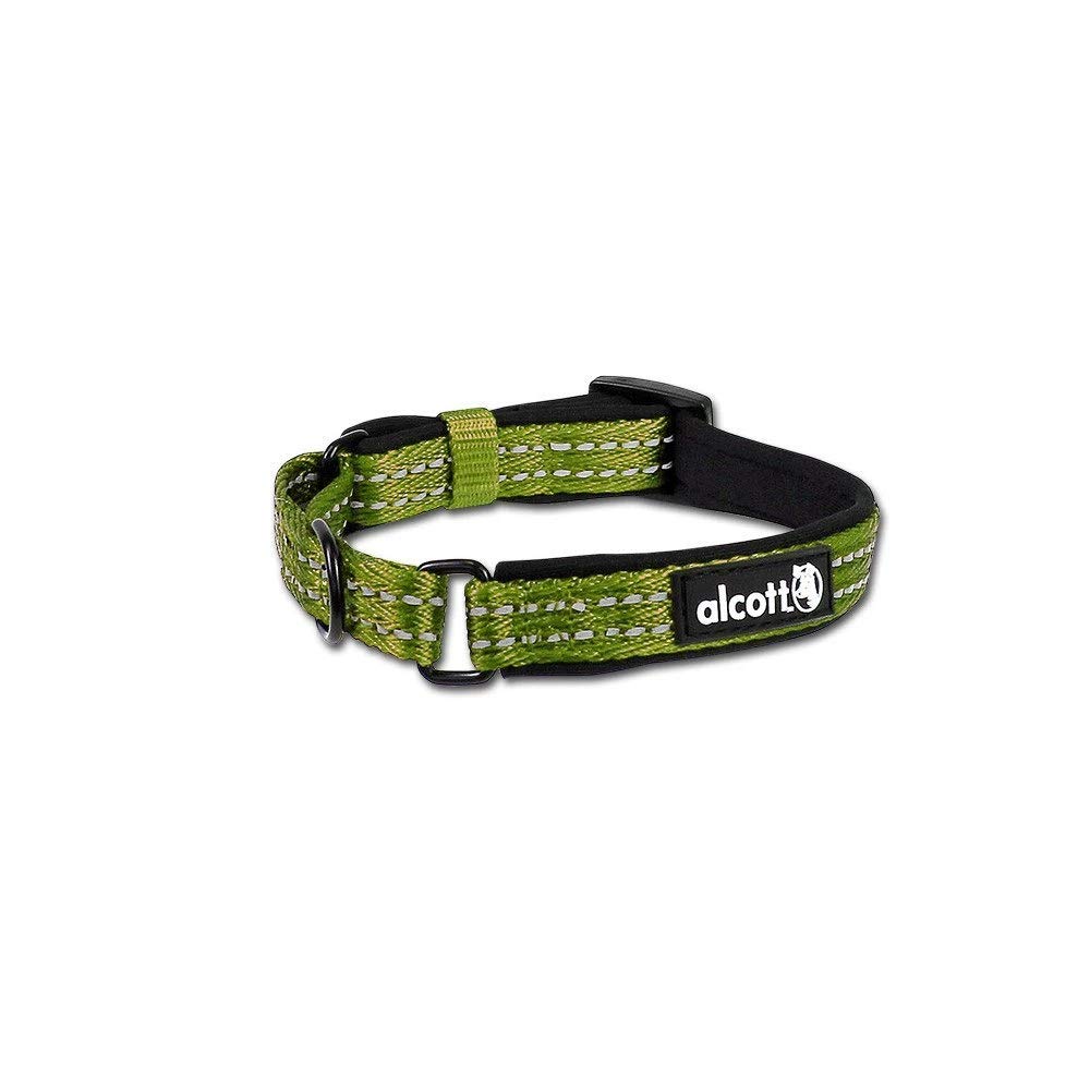 PawsnCollars USA Alcott Martingale Anti Escape Dog Collar with Reflective Stitching & Neoprene Padding (Small, Vibrant Green) (B08CJ9KZZG) Amazon Price History, Amazon Price Tracker
