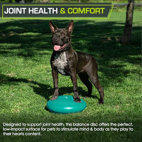 ProsourceFit Core Balance Disc Trainer, 14” Diameter with Pump for Improving Posture, Fitness, Stability - Thumbnail 6