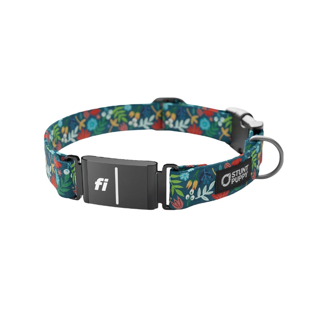 Stunt Puppy Dog Collar, Fi Series 3 and 3+ Ready, Frolic Fall, Large - Compatible with Fi GPS Device (Not Included)