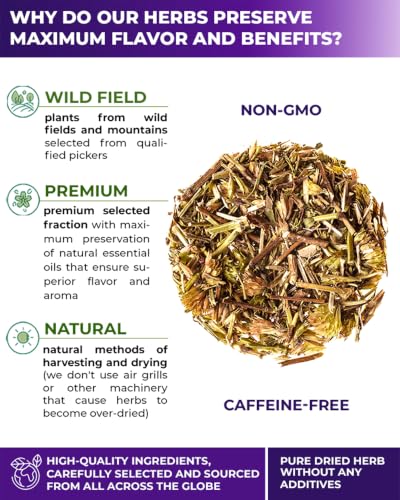 Image of 50 Bags Hyssop Dried Herb Hyssop Tea Herbal (Hyssopus Officinalis) - 50 Count 1.5 g Tea Bag Herb Hyssops Hissop Hysopp Hisopo