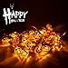 Produktbild Fulighture Halloween Dekorationen,Kürbis Lichter,118.11ft 20 LED Lichterketten Batteriebetrieben 3D Kürbis Beleuchtung für Halloween, Weihnachten,Gärten,Warmes Weiß,1er-Pack(Batterie nicht enthalten)