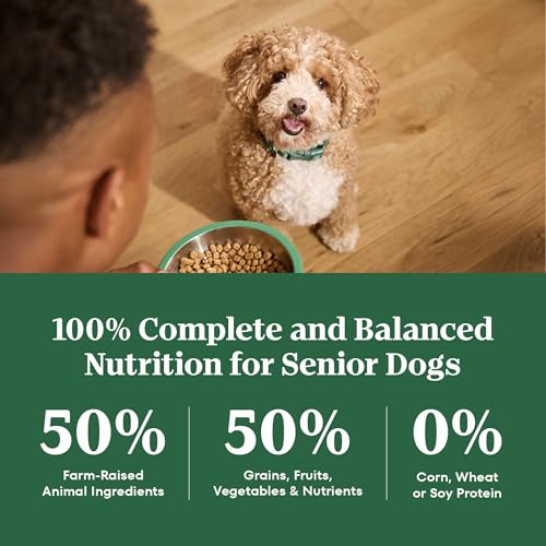 Nutro Natural Choice Senior Small Breed Dry Dog Food, Chicken, 5 lb - image 8