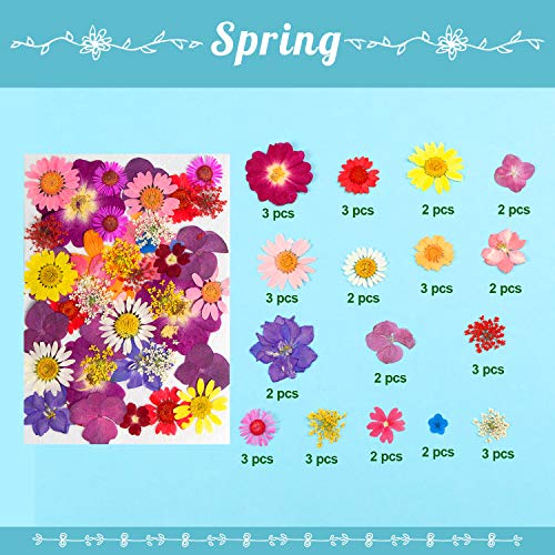Dried Flowers-116 PCS Natural Dried Flower Herbs Kit for Bath, Soap Making, Candle Making and DIY Resin Jewelry Making Art Floral Decors