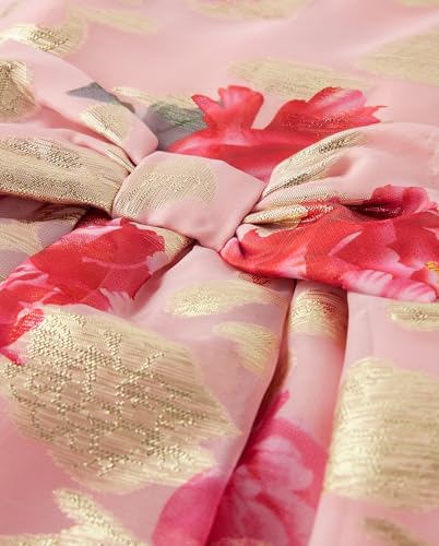 Gymboree Girls' and Toddler Short Sleeve Dressy Dresses2