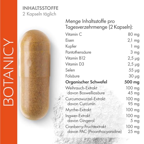 Schmerzmittel Botanicy Zündex Forte Complex 60 MSM Kapseln