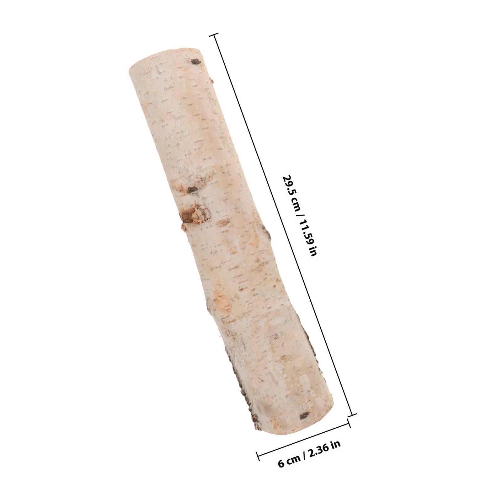 Tronchi di Betulla Leggeri e Versatili Legno Naturale 4 Pezzi per Decorazioni e Lavoretti di Artigianato DIY