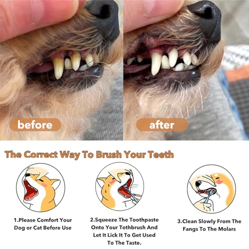 Image of Dog Tooth Brushing Kit 360Silicone Dog Toothbrush with Storage Cup,Deep Clean for Toothbrush for Dogs Small Breed,Deep Clean for Toothbrush for Dogs Cat (A-2PCS)