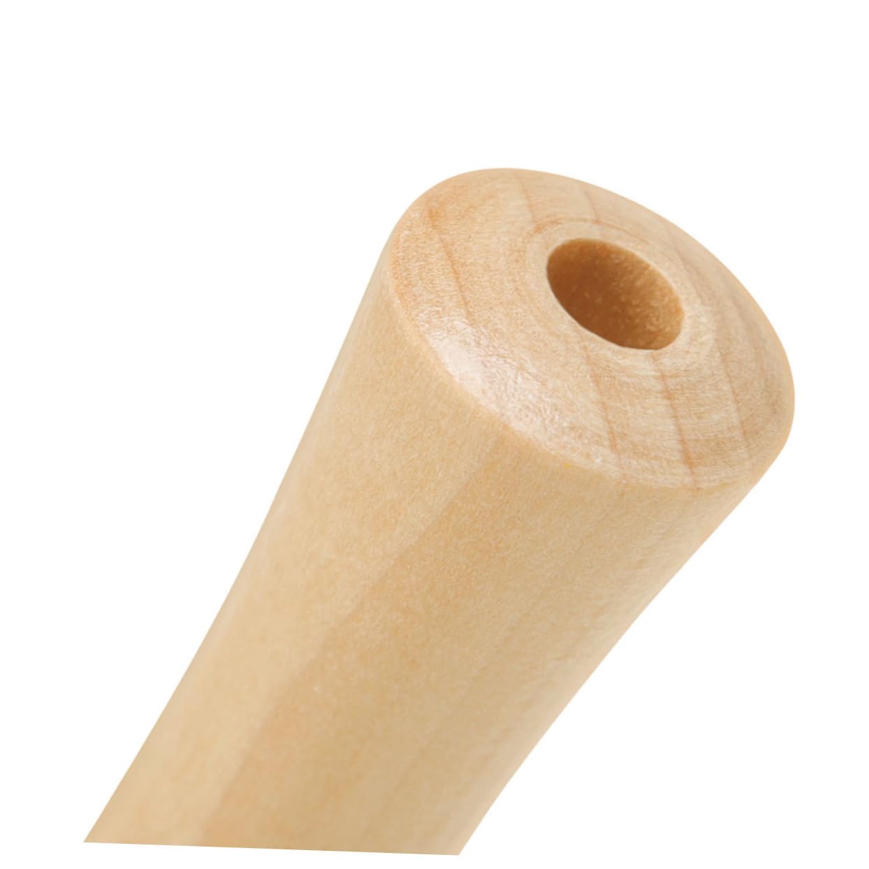 GALPADA Soprano Recorder for Beginner Recorder Instrument for Music Lessons Durable Easy to Clean present for Students