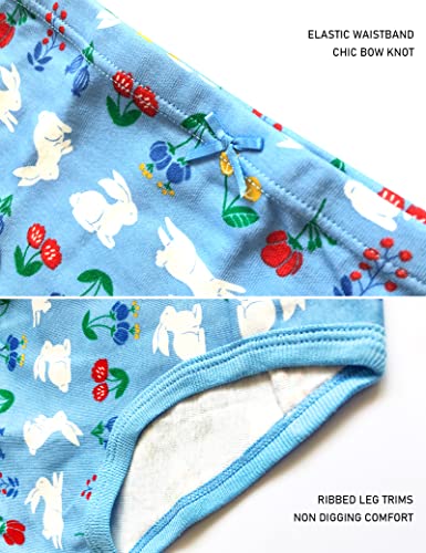 Kiench Girls' Underwear Cotton Panties 6-Pack3