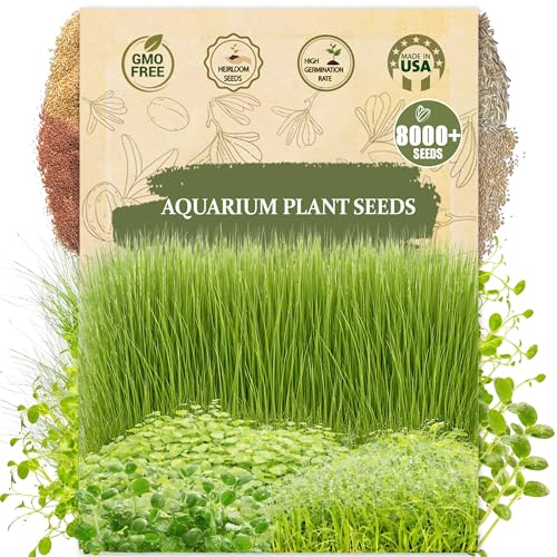 Premium Aquarium Plant Seeds for Planting – 8,000+ Live Mixed Seeds, 4 Varieties – Easy-to-Grow Aquatic Greenery for Lush, Vibrant Fish Tanks
