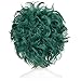 ColorGround All Green Short Curly Prestyled Natural Cosplay Wig for Men and Women (Dark Green)