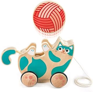 Hape Wooden Walk-A-Long Kitten Pull Toy| Roll & Rattle Push Pull Toy for Toddler| Montessori Toys for Walking Toddlers , Green