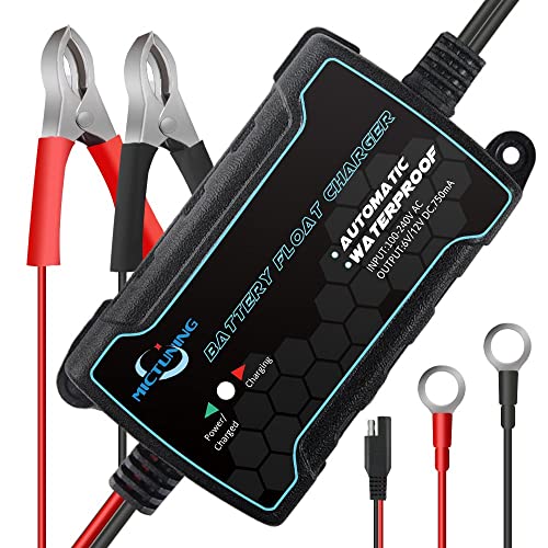 MICTUNING Chargeur de Batterie 12V 4A Mainteneur/Automatique pour Voiture, Moto, Bateau et Plus Encore