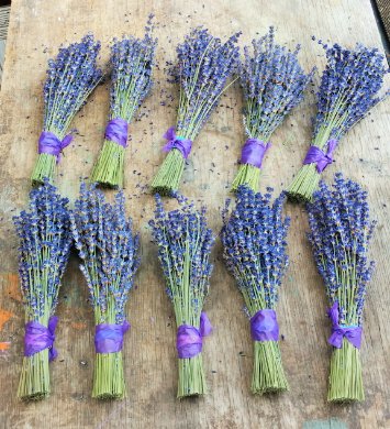 Findlavender - Ramilletes de lavanda seca 12 a 16" miniatura 5
