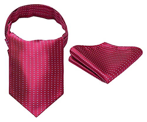 Enlision Cravatta Cravatte Ascot Uomo Ascot Uomo