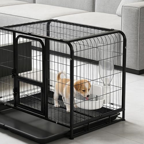 Distributeur d'eau pour chien lapin écureuil chinchilla et petits animaux