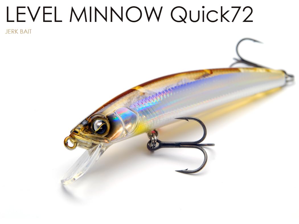 Amazon.co.jp: レイドジャパン(Raid Japan) LEVEL MINNOW