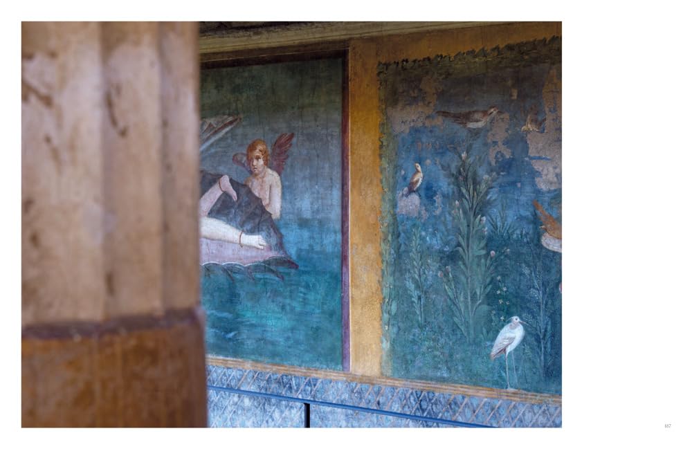 Interno pompeiano. Ediz. illustrata