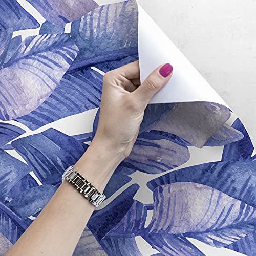 Papier peint feuilles de banane pour habiller un grand mur blanc - 4