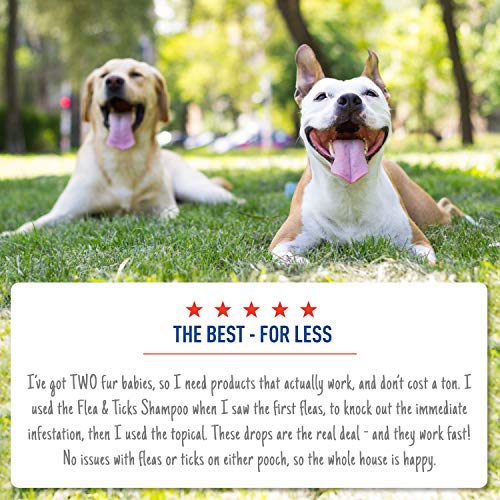 Adams Plus Flea & Tick Prevention Spot On for Dogs 61-150 Pounds, 12 Weeks & Older, 3-Month Supply, Kills Fleas, Flea… - Image 6