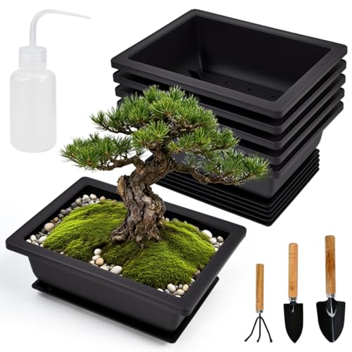 JNEYVIC 6 STK Bonsai Schale Kunststoff Bonsai Topf Pflanzschale mit Untersetzer 16,5x12x6cm Rechteckige Bonsaischale Trainingstöpfe Trainingsschalen mit Gießkanne für Garten Wohnzimmer Balkon JNEYVIC 6 STK Bonsai Schale Kunststoff Bonsai Topf Pflanzschale mit Untersetzer 16,5x12x6cm Rechteckige Bonsaischale Trainingstöpfe Trainingsschalen mit Gießkanne für Garten Wohnzimmer Balkon