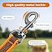 Wisedog 3m Orange doppelendige gummierte Hundeleine Leichtgewichtige Hands Free Leine für Hund rutschfeste Hands Free Hundeleine Fit für Spaziergänge Laufen Camping