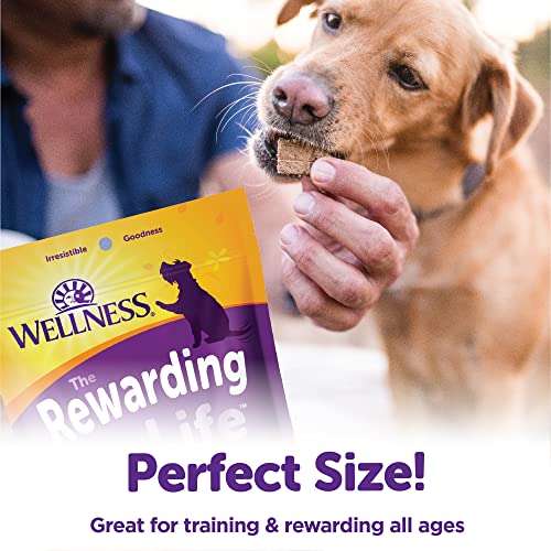 Image of Wellness Rewarding Life Dog Treats, Training Treat, Grain Free, Soft Chicken & Venison (6 Ounce Bag) (Pack of 2)