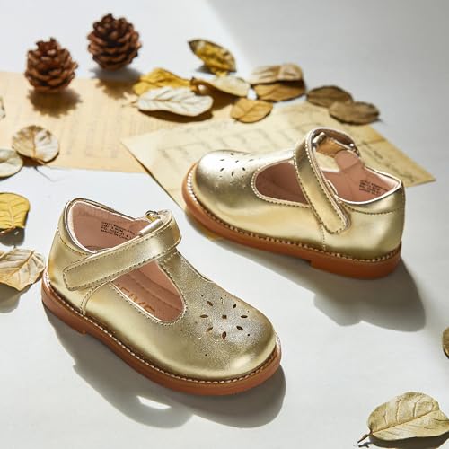 Image of GINFIVE Toddler Girls Dress Shoes Little Kids Flats School Mary Janes Shoes