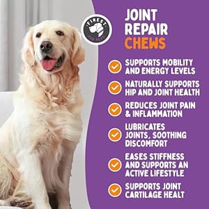 Advanced joint repair hip  joint health supplement for dogs  relieves arthritis pain  inflammation improve mobility extra strength soft chew treats with glucosamine chondroitin  msm   cucciolini doodles