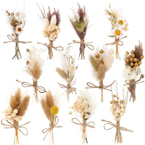 12 Pack Dried Flower Bouquet Mini Natural Pampas...