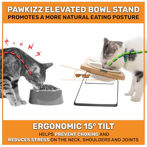 Elevated Cat Bowl Stand for Food and Water – Anti-Vomit Raised Feeding Station with Tilted Stand – Removable Stainless Steel Bowls, Anti Slip Bamboo Base, Dishes for Cats, Kitten, Small Dogs & Puppies - Image 3